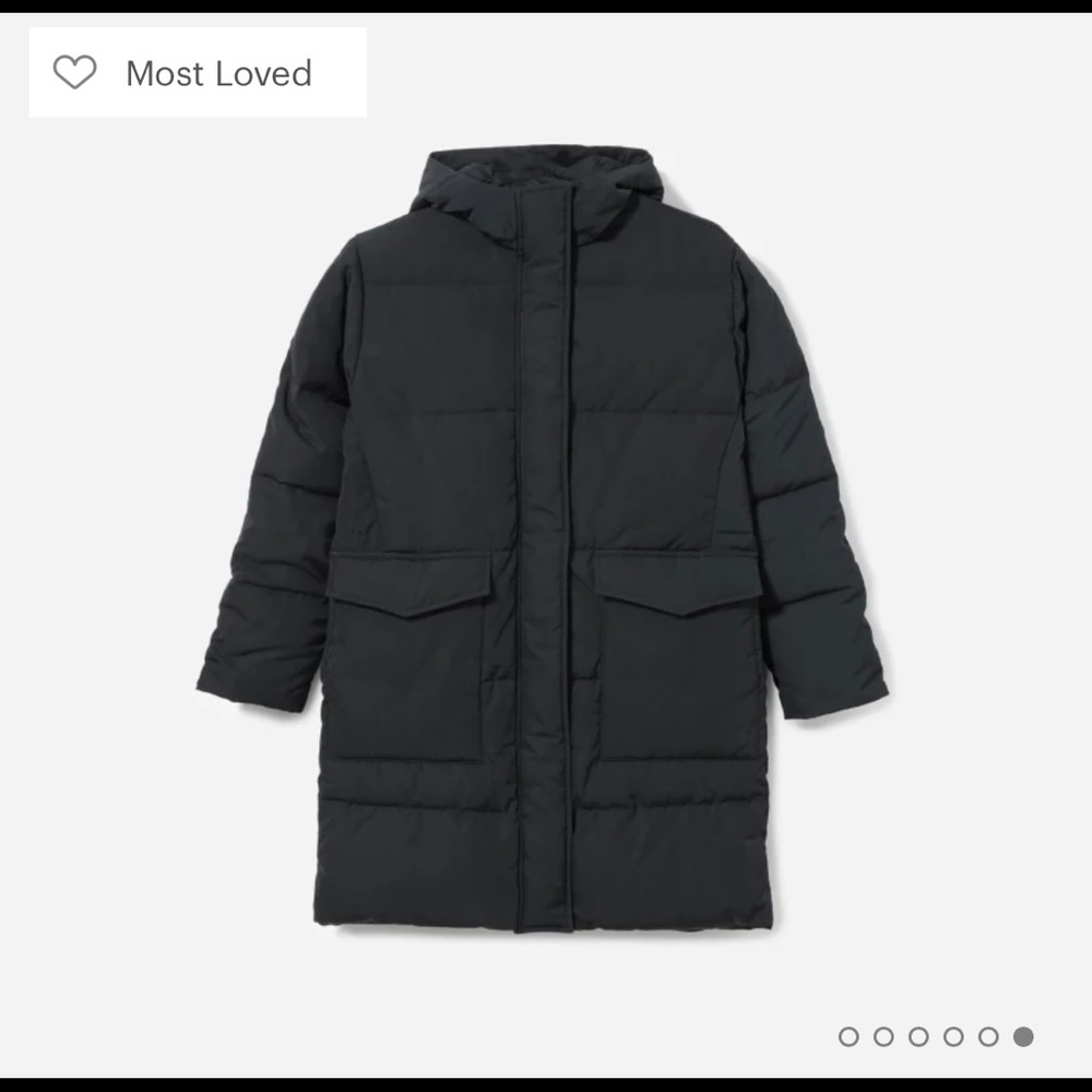 Everlane ReNew Long Puffer (Black)
